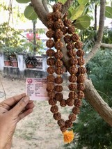 LAB CERTIFIED 5 Mukhi RUDRAKSHA Rudraksh Mala ROSARY 54+1 Big Beads 18-2... - £31.32 GBP