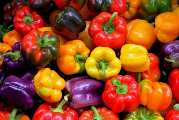 50 Rainbow Sweet Bell Pepper Mix Seeds To Grow Delicious Bell Peppers Usa Seller - £15.97 GBP
