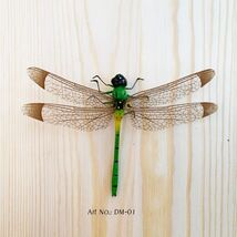 Dragonflies with Magnets - $6.26 CAD