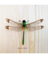 Dragonflies with Magnets - $82.07 MXN