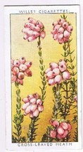 Wills Cigarette Card Wild Flowers #28 Cross Leaved Heath - £0.78 GBP