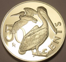 Rare Proof British Virgin Islands 1978 50 Cents~7,059 Minted~Brown Pelican~Fr/Sh - £10.43 GBP