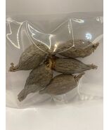Alligator Pepper Pods/Atakou/Grain of Paradise/Mbongo. (5 Jumbo Pods) - $6.99