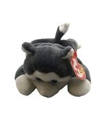 TY Beanie Babies Nanook The Husky Dog 7 inch DOB 11/21/1996 - €6,84 EUR