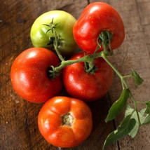 50 Seeds Grandeur Tomato Juicy Tomatoe Vegetable Garden Edible Food - £4.79 GBP