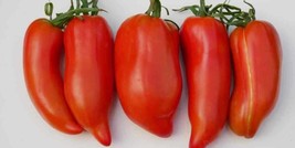 Howard German Tomato - Amish Paprika-shaped Heirloom - 5+ seeds - P 417 - £1.59 GBP