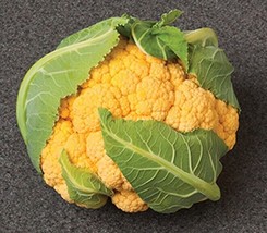 US Seller Cauliflower Seeds 25 Seeds Cauliflower Flame Star Chedder Cauliflower  - £19.05 GBP