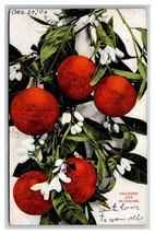 Oranges and Blossoms UDB Postcard T21 - $2.92