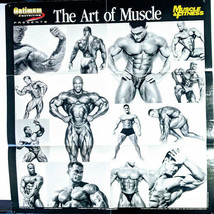 The Art of Muscle Bodybuilding Fitness Magazine Poster  21&quot; X 21.5&quot; 2001 - $15.47