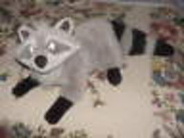 Item image 1 image 1