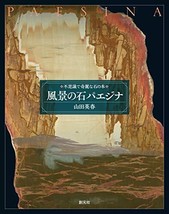 SOGENSHA Pietra Paesina Stone Visual Book Japan - £29.22 GBP