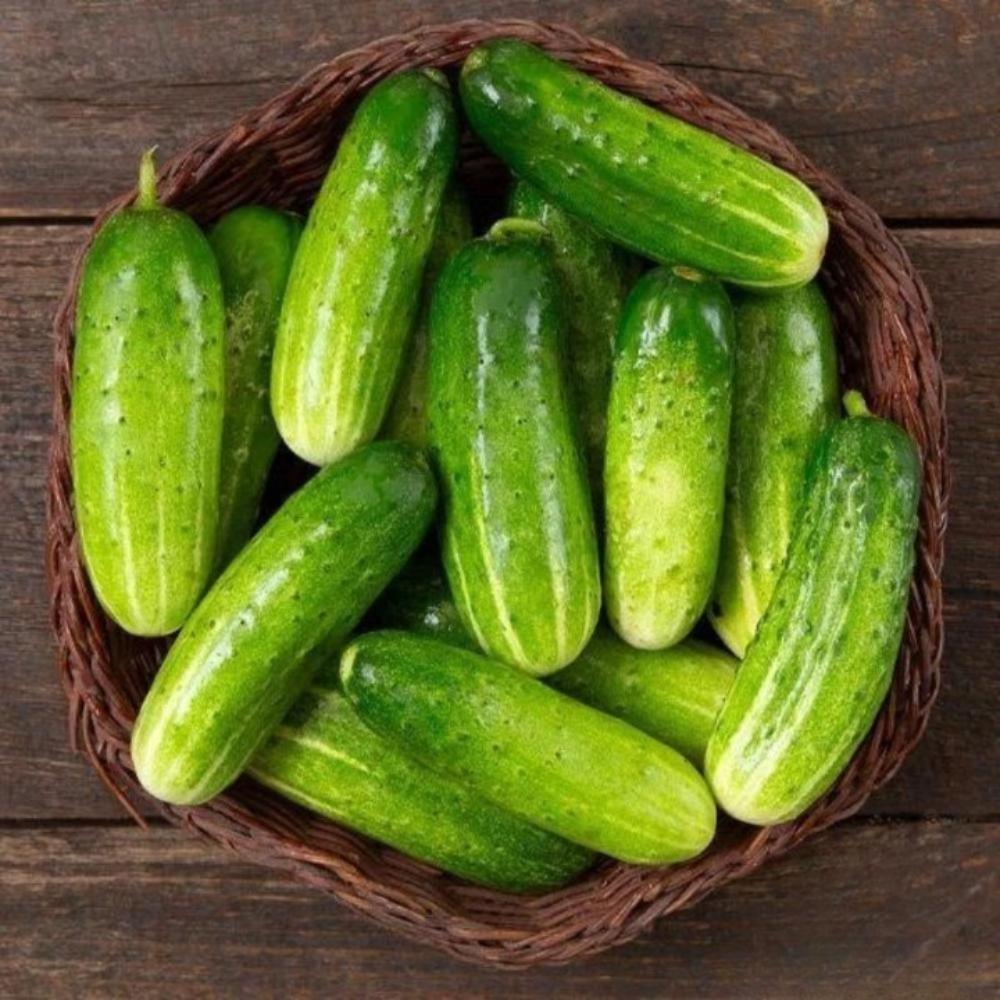 25+ Double Yield Cucumber Seeds – High-Productivity Garden Veggies - $16.50