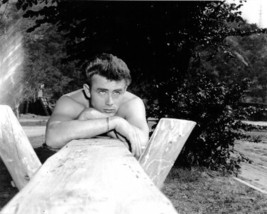 James Dean unsigned Vintage B&amp;W 8x10 Photo (arms on wood) - £14.35 GBP