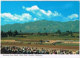 California Postcard Arcadia Santa Anita Park Horse Racing - £1.69 GBP