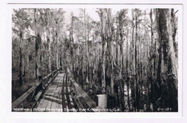 Postcard RPPC Waycross Georgia Walkway In Okefenokee Swamp Park - £4.47 GBP