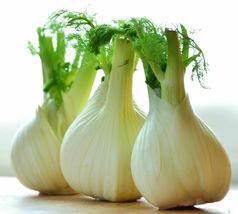 SHIP FROM US 60,000 Florence Fennel Seeds - Microgreen or Garden, ZG09 - £54.76 GBP
