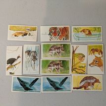 Like cigarette Tobacco cards Brooke Bond Tea Vanishing Wildlife 1978 Lot... - $9.69 CAD