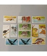 Like cigarette Tobacco cards Brooke Bond Tea Vanishing Wildlife 1978 Lot... - $9.69 CAD