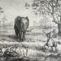 Sanderson Hunting Rogue Elephant 1887 Wood Engraving Victorian Art DWEE34 - £9.96 GBP