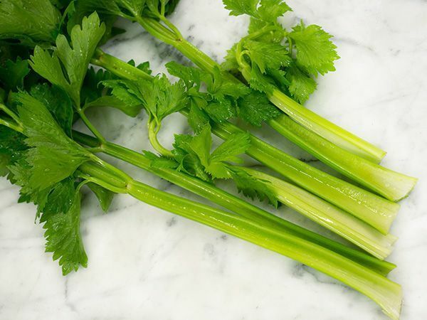 SEPTH 30+ Tendercrisp Celery Seed, Heirloom NON-GMO Fresh Seeds A FAVORI... - $2.54