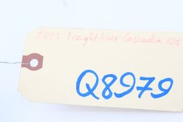 2013 FREIGHTLINER CASCADIA 125 LEFT DRIVER SIDE COWL MOLDING FENDER PANEL Q8979 image 12