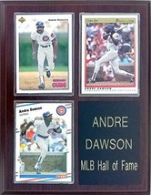 Frames, Plaques and More Andre Dawson Chicago Cubs 3-Card 7x9 Plaque - £15.37 GBP