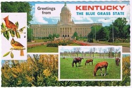 Kentucky Postcard Blue Grass State Multi View Horses - £2.38 GBP