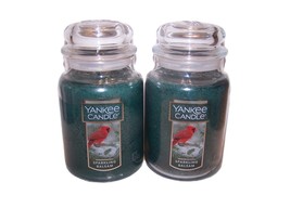 Yankee Candle Sparkling Balsam Large Jar Candle 22 oz each- Lot of 2 - £37.92 GBP