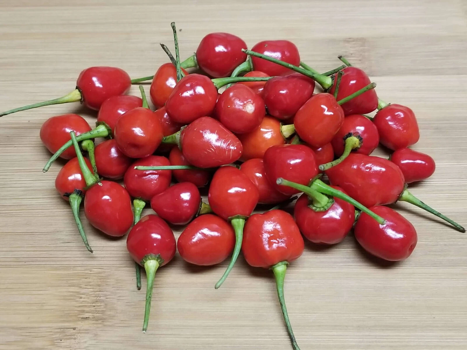 25 SEEDS Guyana Wiri Wiri Pepper Pepper Garden Vegetables Planting Edibl... - $5.24