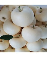 CLK 50 White Creamy Apple Fruit Seeds Sweet White Apple Seed Organic Fruit - $8.20 CAD