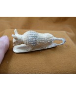 (Armad-9) Armadillo desert dillo of shed ANTLER figurine Bali detailed e... - £63.29 GBP