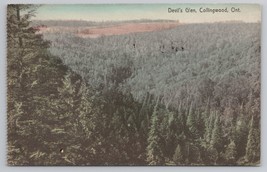 Vintage Postcard Devil&#39;s Glen Collingwood Ontario Canada Scenic View 1945 - £11.33 GBP