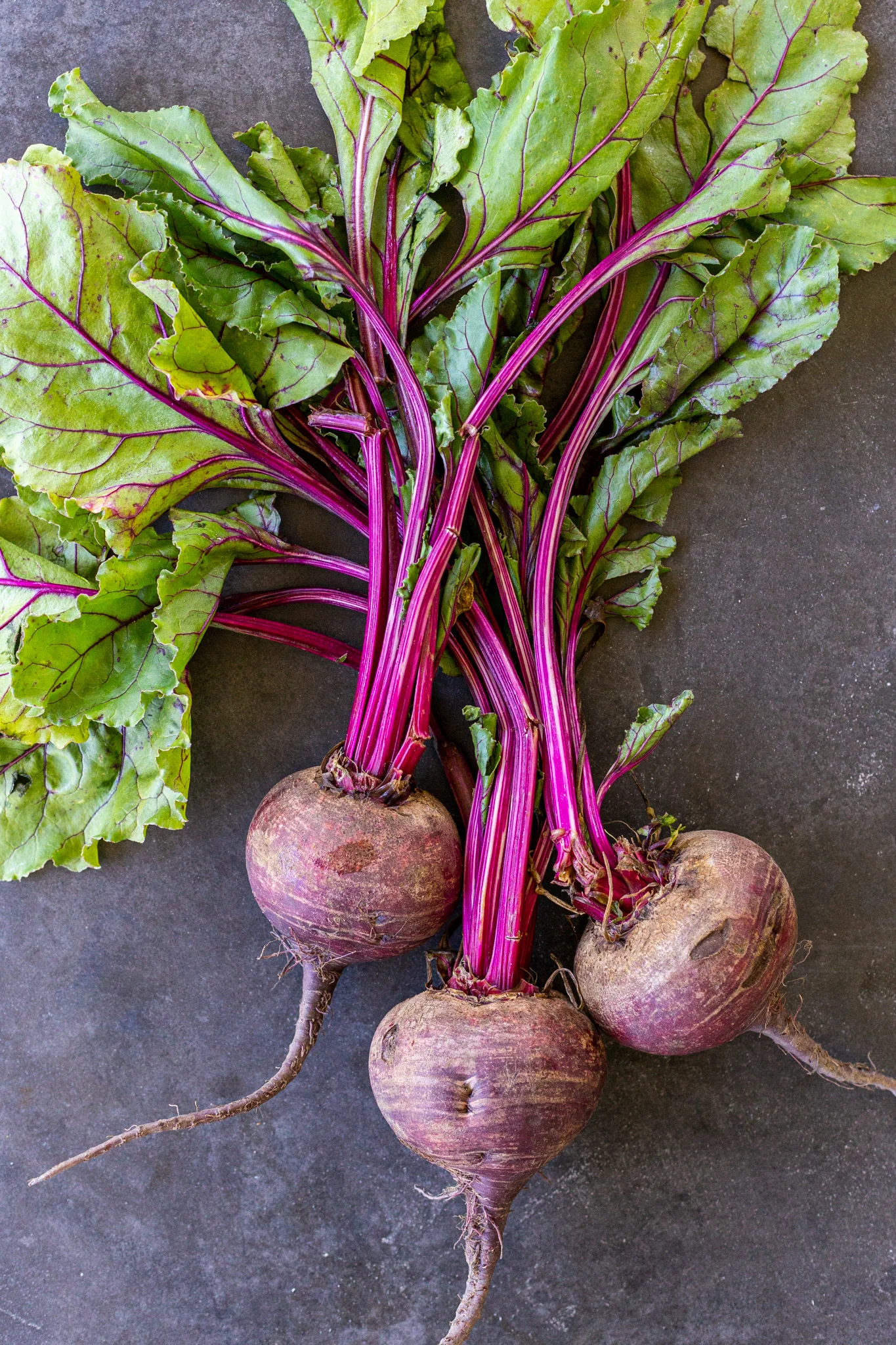 DANDELION ITALIKO ROSSO, 250 SEEDS R - $267.26 MXN