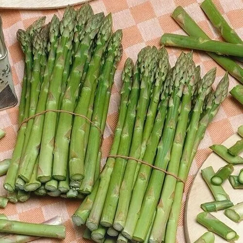 100 Asparagus Seeds Uc 157 F2 Organic Fresh Gardening - $10.28