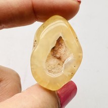 Tampa Bay Fossil Coral Agatized Oval 38x25x10mm Petrified Agate Cabochon - £23.55 GBP