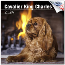 Cavalier King Charles Wall Calendar 2024 DOG PET Animal Lover Gift - £19.45 GBP