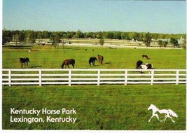 Kentucky Postcard Lexington Kentucky Horse Park Horses Grazing In Field - £1.71 GBP