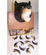 4  BLACK BEAR REPLICA 2 INCH CLAWS bears nails WILD animal claw LOT pendant - €5,68 EUR