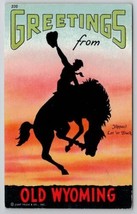 Greetings From Old Wyoming Bucking Bronco Cowboy Postcard X21 - $6.95
