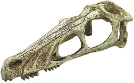 Komodo Raptor Skull Terrarium Decoration - £44.05 GBP