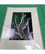 Martha Johnson Signed Original Work Etching Matted Birds On Tree Design ... - €16,16 EUR