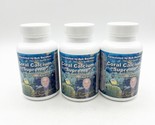 X3 Coral Calcium Supreme 1000mg Marine 90 Capsules Bob Barefoot Exp 10/25 - £55.94 GBP