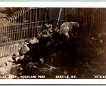 RPPC Orso Polare Exhibit Woodland Park Seattle Washington Wa Unp Cartoli... - £8.97 GBP