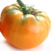 New Persimmon Tomato Seeds Organic Fresh USA Garden - $5.96