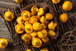 50 Early Yellow Bush &quot;&quot;Patty Pan&quot;&quot; Scallop Squash Seeds  Pattypan Vegeta... - $9.89