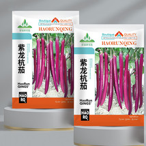 5 Bags (100 Seeds / Bag) of &#39;Hang Zilong&#39; Series Purple Eggplants - $190,642.00