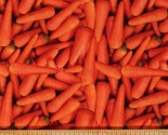 Cotton Carrots Vegetables Garden Veggies Orange Fabric Print by the Yard... - $9.95