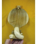 (q110-a) large striking COBRA snake fangs ACACIA WOOD carving FIGURINE w... - £58.44 GBP