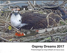 Osprey Dreams 2017 photomontages by Griffeath &amp; Ayres pbk ~ SF Bay Ospre... - $24.70