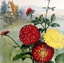 Dahlia Lithograph 1920 Flower Print Myron Van Brunt Floral Garden Art DWDD16 - £37.36 GBP